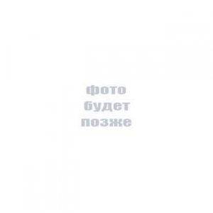 Изображение Микросхема 580ВВ79