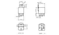 изображение YL309-C-24VDC-T