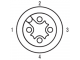 доп. изображение Шнур соединительный 1925641000 SAIL- M12BW-4-10V-1