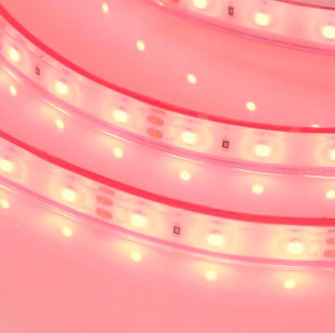 RTW-PFS-A60-11mm12V Red (4.8 W/m, IP68, 2835, 5m) — Arlight